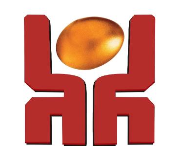 河南鼎越企業管理咨詢 專業商務咨詢，助力企業卓越發展