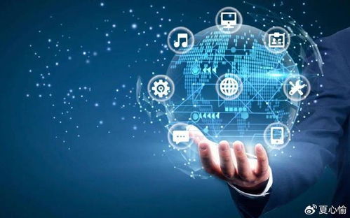 踏浪數字化浪潮，銀聯商務如何成為企業管理咨詢的“多面手”？